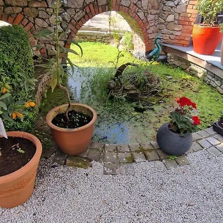 Hideaway Garden Paradise * Dublin
