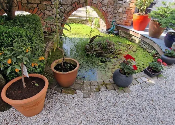 Hideaway Garden Paradise * Dublin